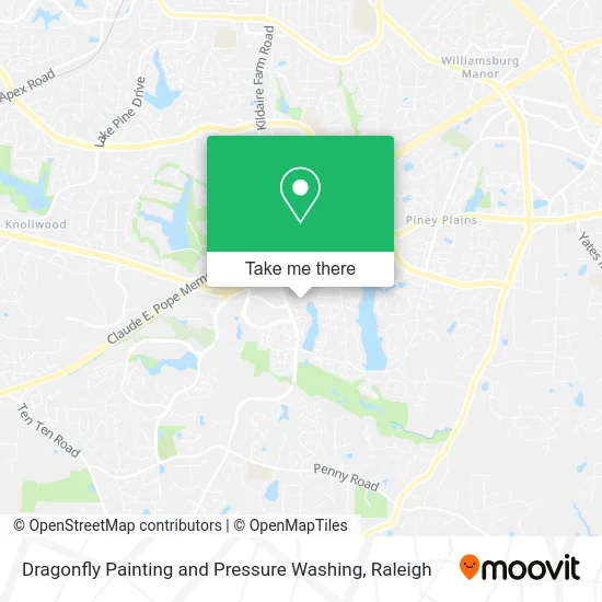 Dragonfly Painting and Pressure Washing map