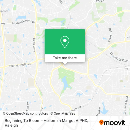 Beginning To Bloom - Holloman Margot A PHD map