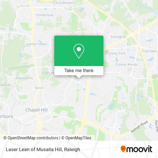 Laser Lean of Musalla Hill map