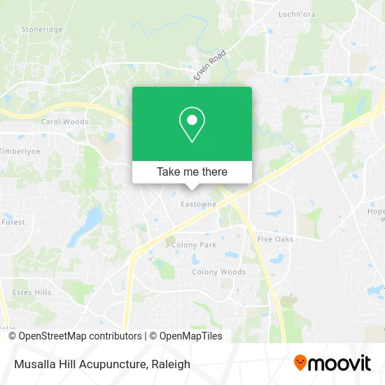 Musalla Hill Acupuncture map