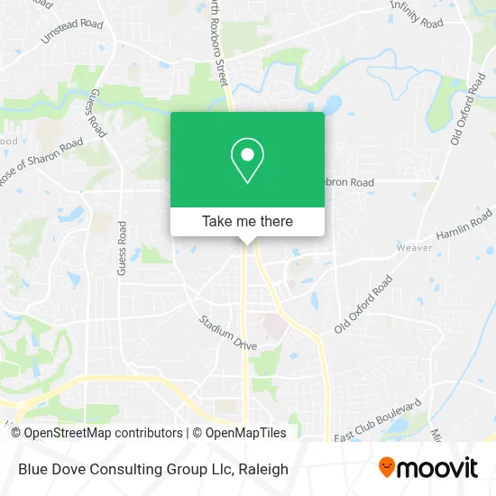 Blue Dove Consulting Group Llc map