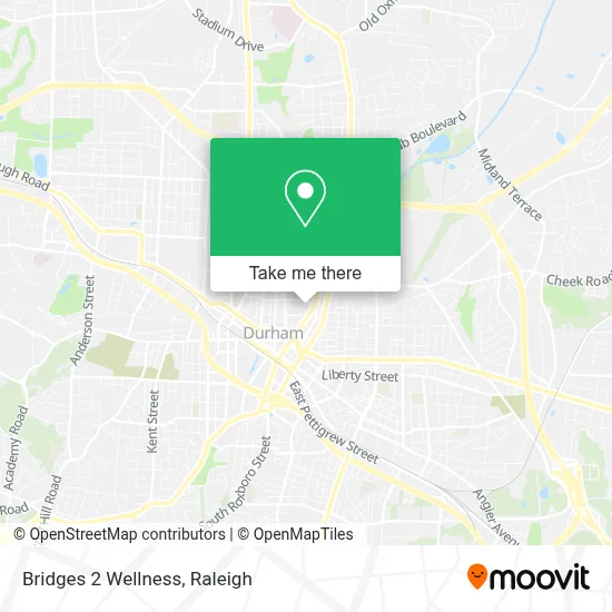Bridges 2 Wellness map