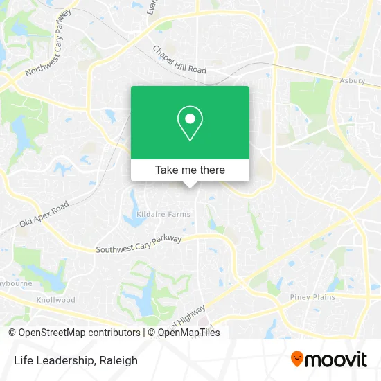 Life Leadership map