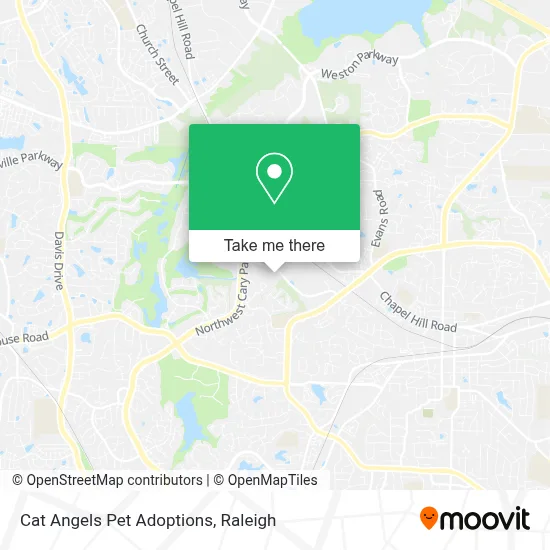 Cat Angels Pet Adoptions map
