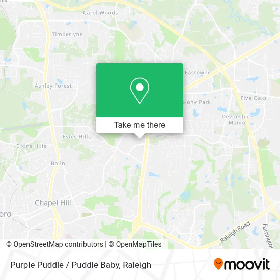 Purple Puddle / Puddle Baby map