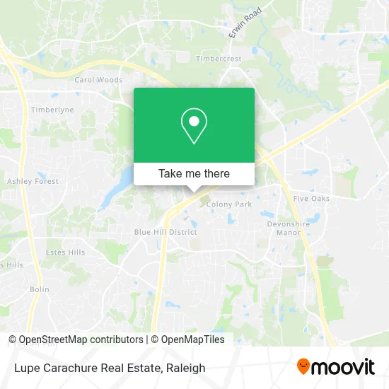 Lupe Carachure Real Estate map