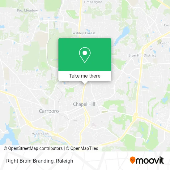 Right Brain Branding map