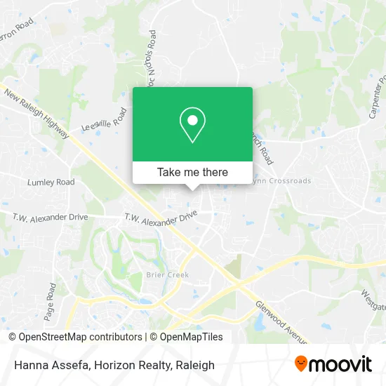 Hanna Assefa, Horizon Realty map