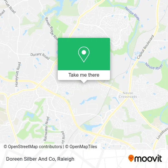 Doreen Silber And Co map