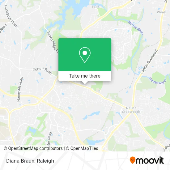 Diana Braun map