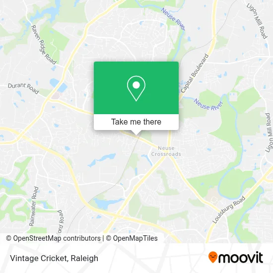 Vintage Cricket map
