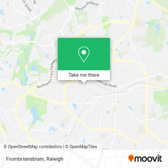 Frombriansbrain map