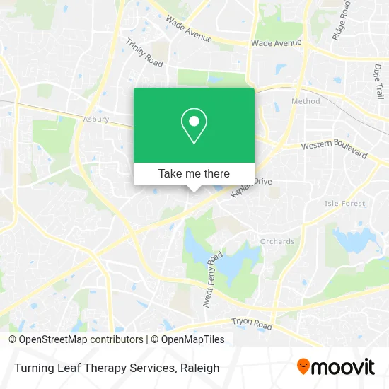 Turning Leaf Therapy Services map