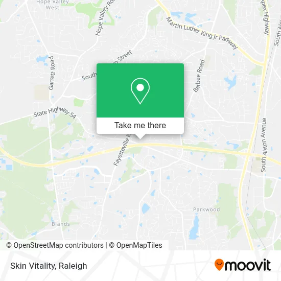 Skin Vitality map