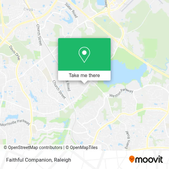 Faithful Companion map