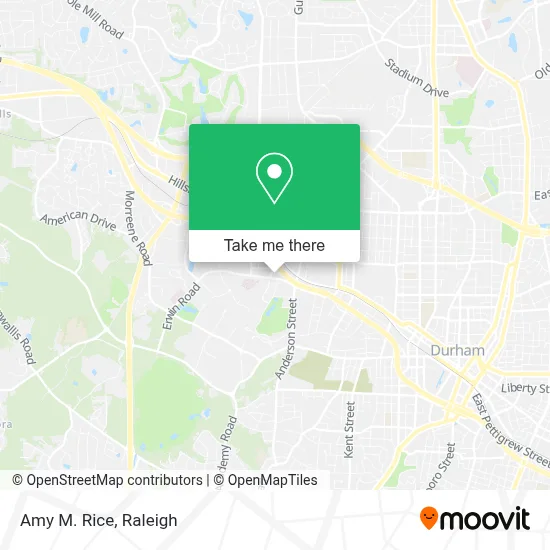 Amy M. Rice map