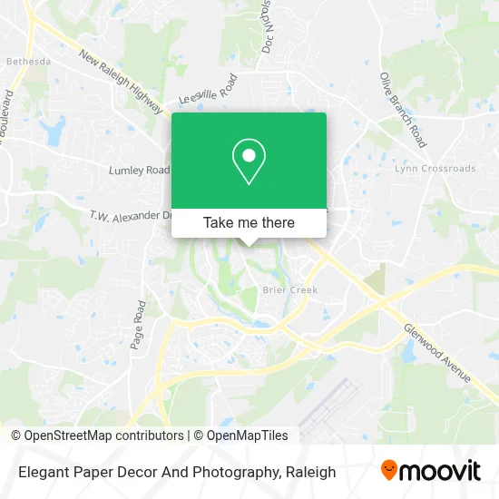 Elegant Paper Decor And Photography map