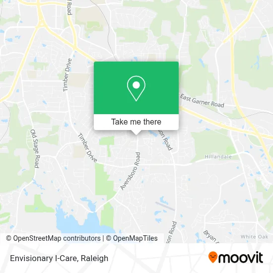 Envisionary I-Care map
