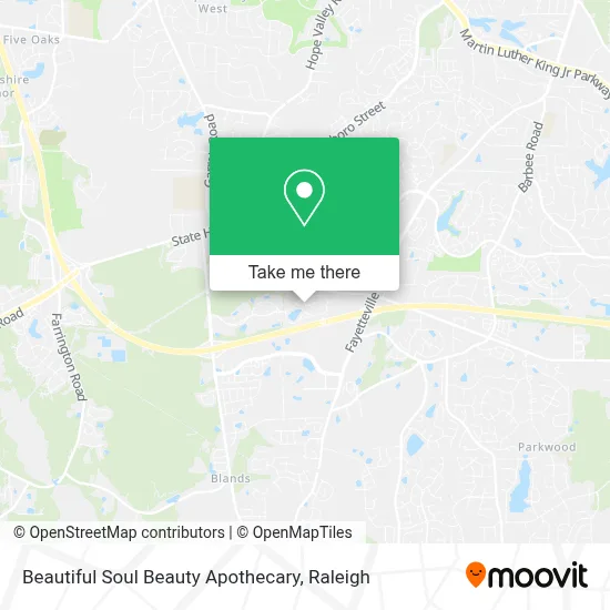 Beautiful Soul Beauty Apothecary map