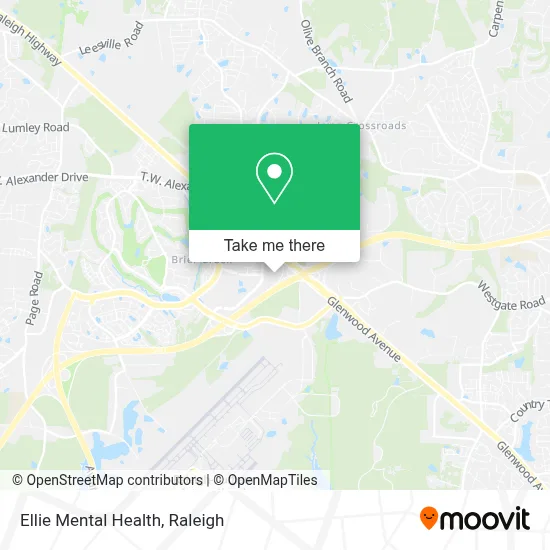 Ellie Mental Health map