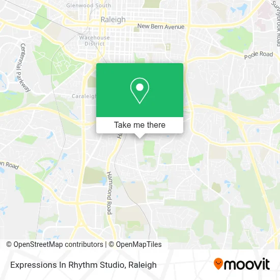 Expressions In Rhythm Studio map