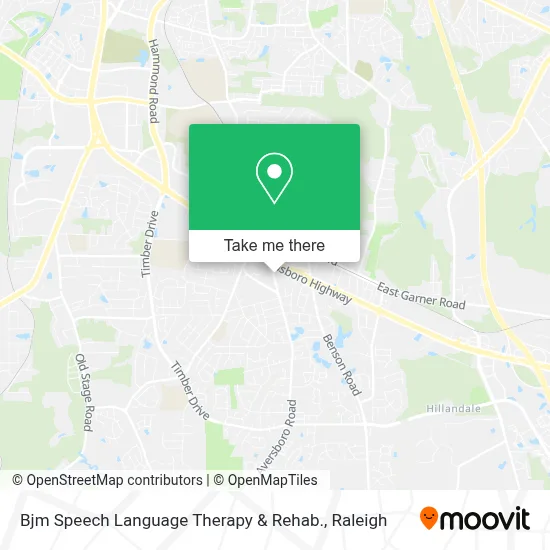 Bjm Speech Language Therapy & Rehab. map