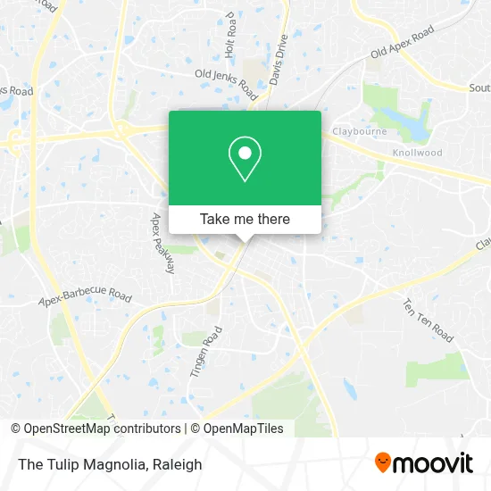 The Tulip Magnolia map
