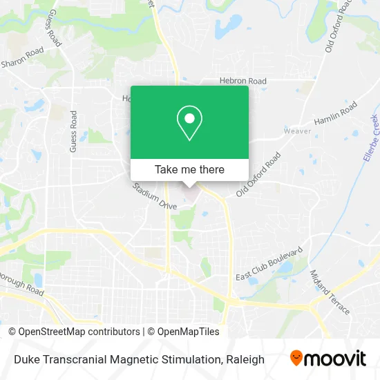 Duke Transcranial Magnetic Stimulation map