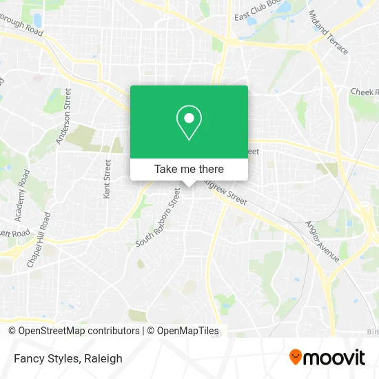 Fancy Styles map