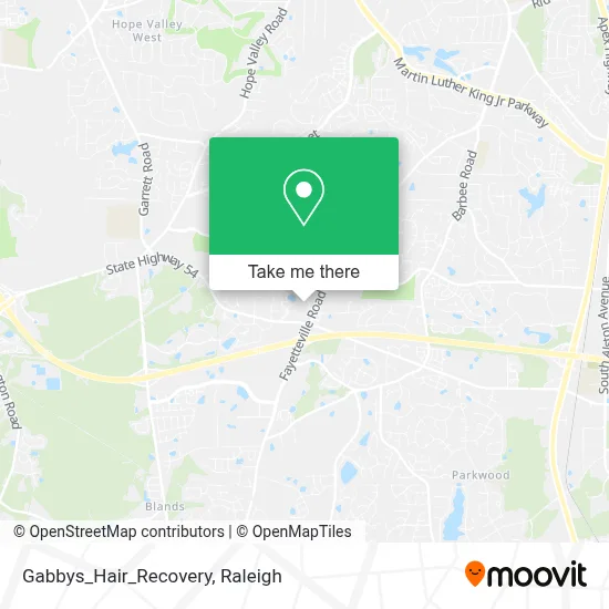 Gabbys_Hair_Recovery map