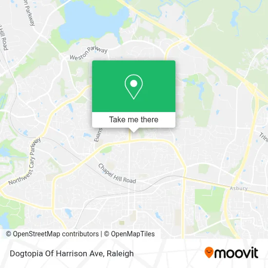 Dogtopia Of Harrison Ave map