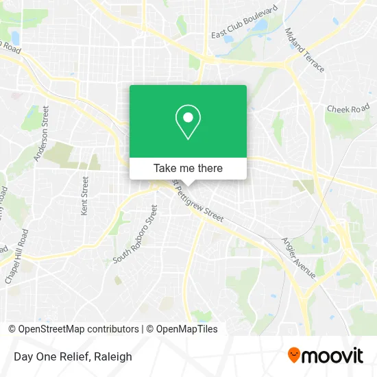 Day One Relief map
