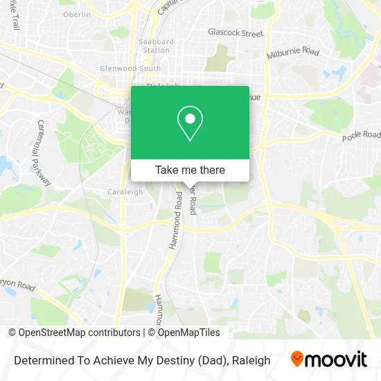 Determined To Achieve My Destiny (Dad) map