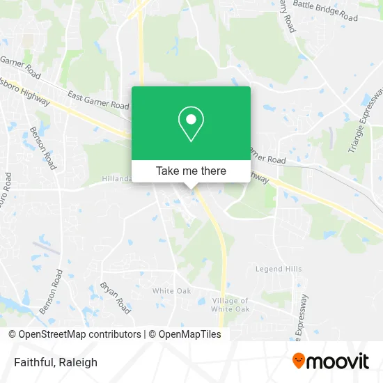Faithful map