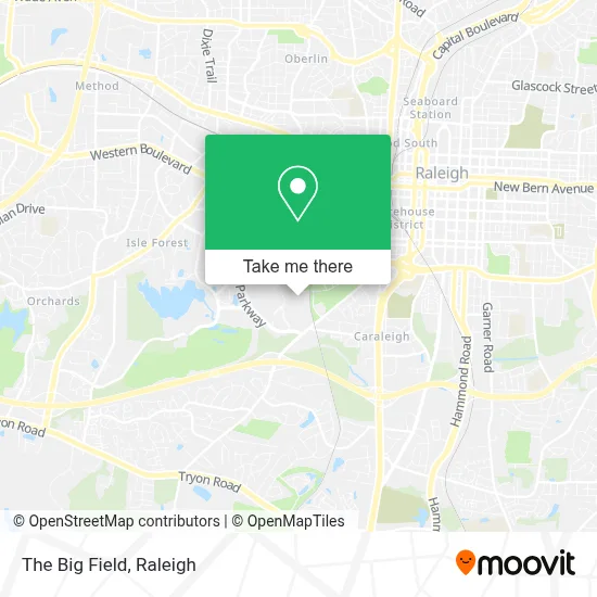 The Big Field map