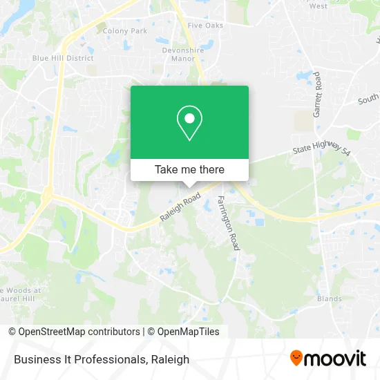 Business It Professionals map