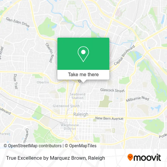 True Excellence by Marquez Brown map