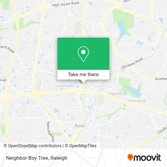 Neighbor Boy Tree map