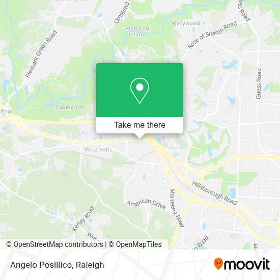 Angelo Posillico map
