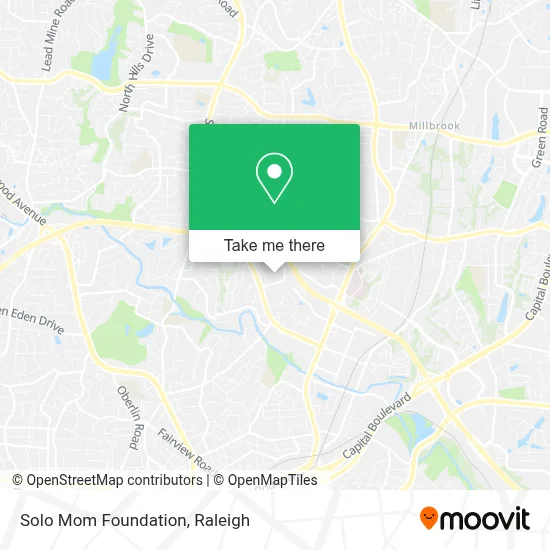 Solo Mom Foundation map