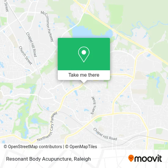 Resonant Body Acupuncture map