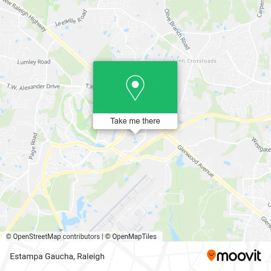 Estampa Gaucha map
