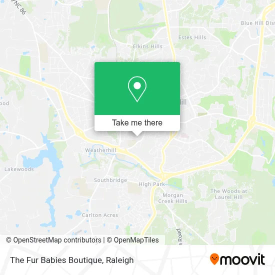 The Fur Babies Boutique map