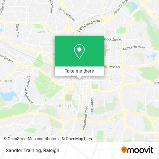 Sandler Training map