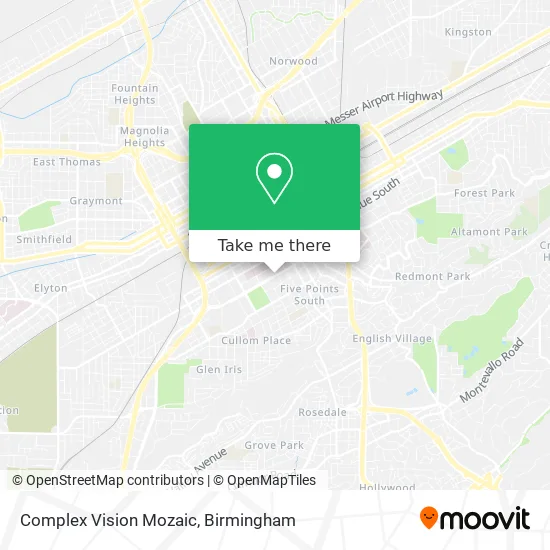 Complex Vision Mozaic map