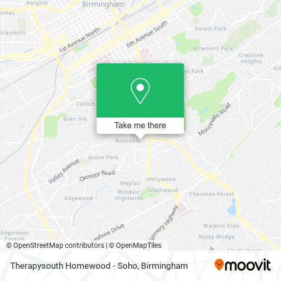 Mapa de Therapysouth Homewood - Soho