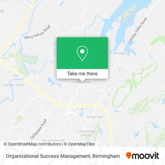 Organizational Success Management map