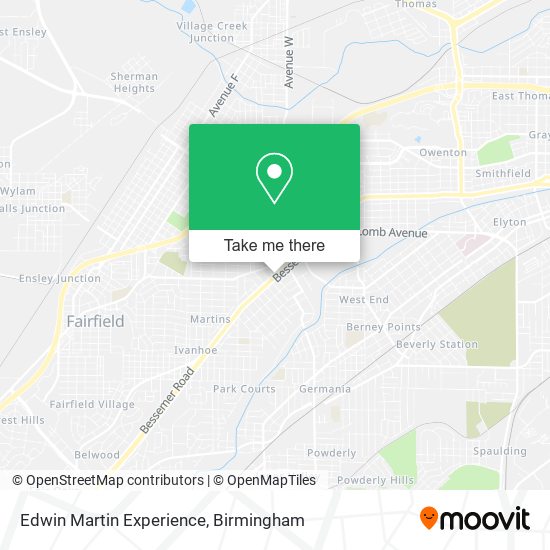 Edwin Martin Experience map