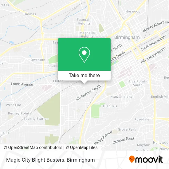 Magic City Blight Busters map
