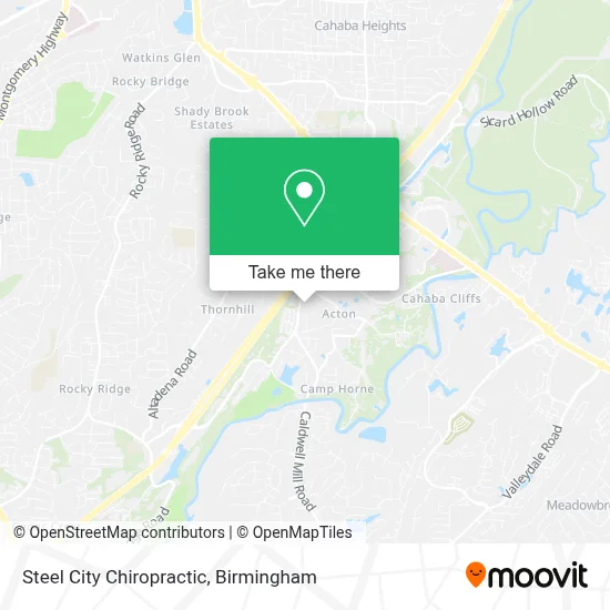 Steel City Chiropractic map